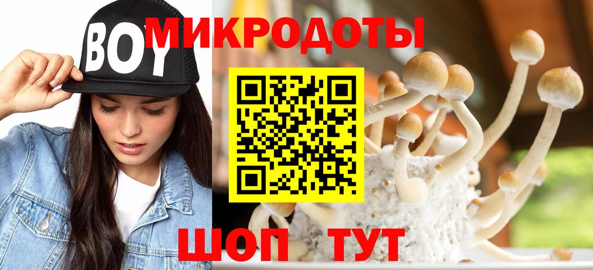 Камышлов  Галлюциногенные грибы Psilocybe  Вход с VPN 